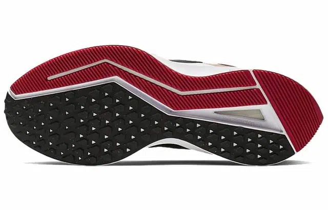 Nike Zoom Winflo 6
