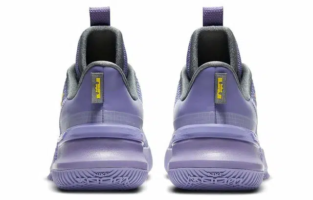 Nike Ambassador 13 LeBron Lakers 13