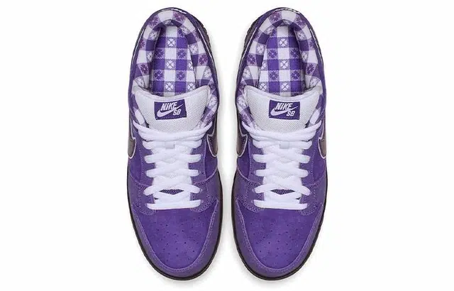 CONCEPTS x Nike Dunk SB Pro