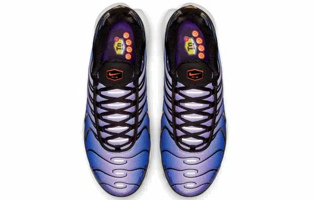 Nike Air Max Plus Midnight Purple