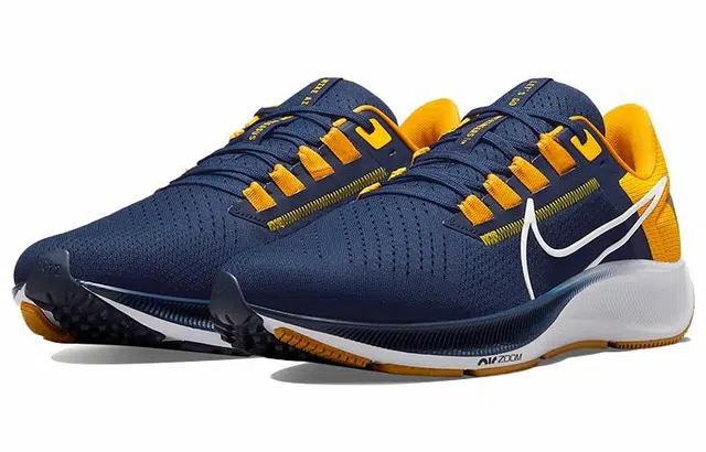 Nike Pegasus 38 "West Virginia"