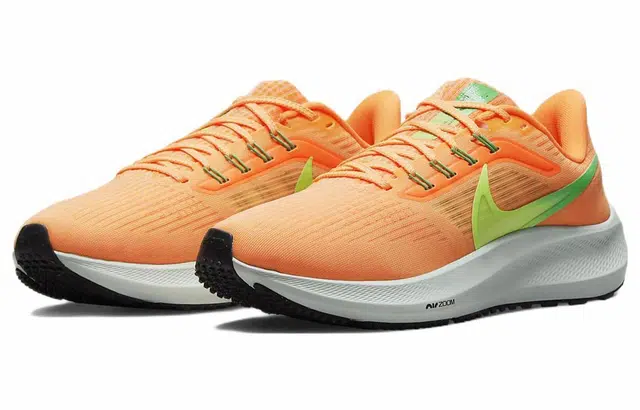 Nike Air Zoom Pegasus 39