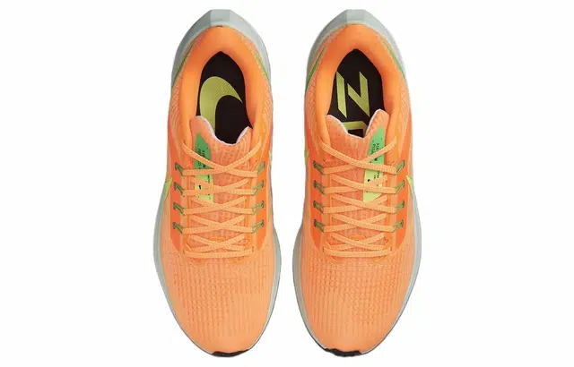 Nike Air Zoom Pegasus 39