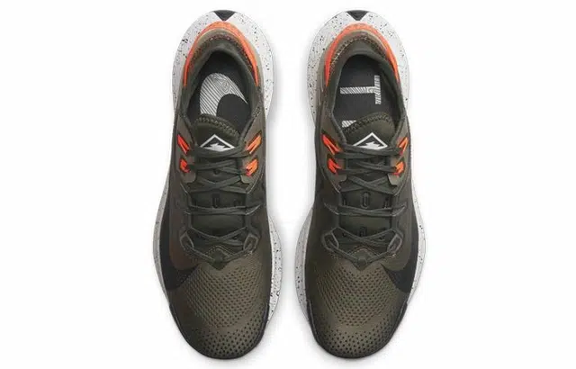 Nike Pegasus Trail 2