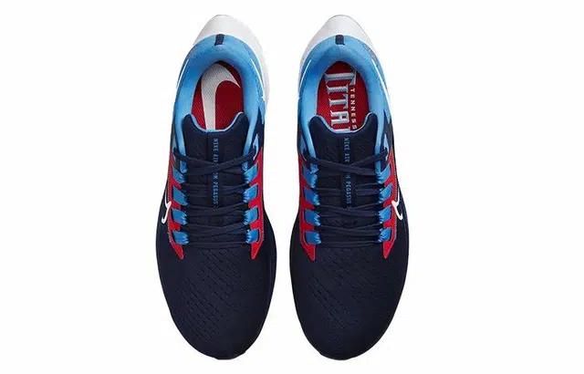 Nike Pegasus 38 NFL "Tennessee Titans"