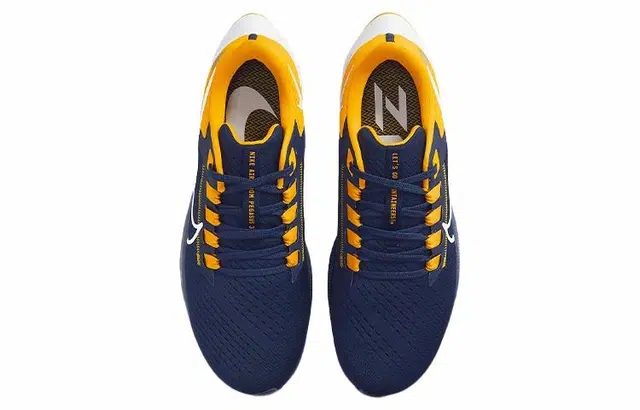 Nike Pegasus 38 "West Virginia"