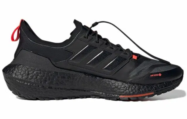adidas Ultraboost 21 Gore-tex