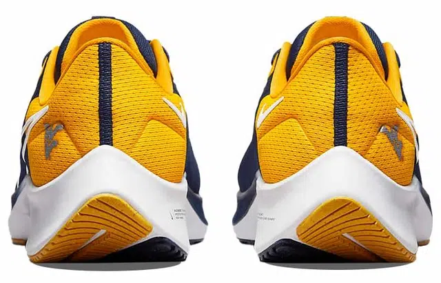 Nike Pegasus 38 "West Virginia"