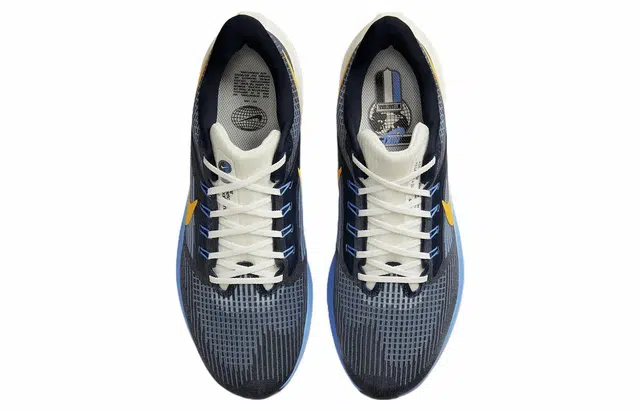 Nike Air Zoom Pegasus 39 premium