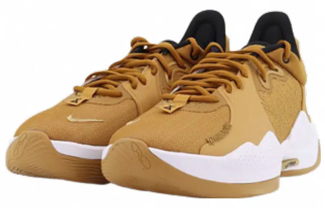 Nike PG 5