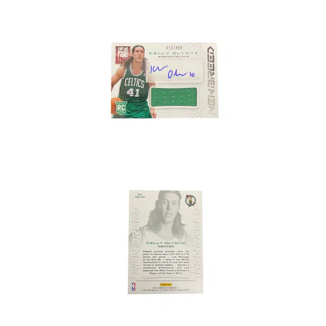 PANINI 2013-14 RC RJA 499