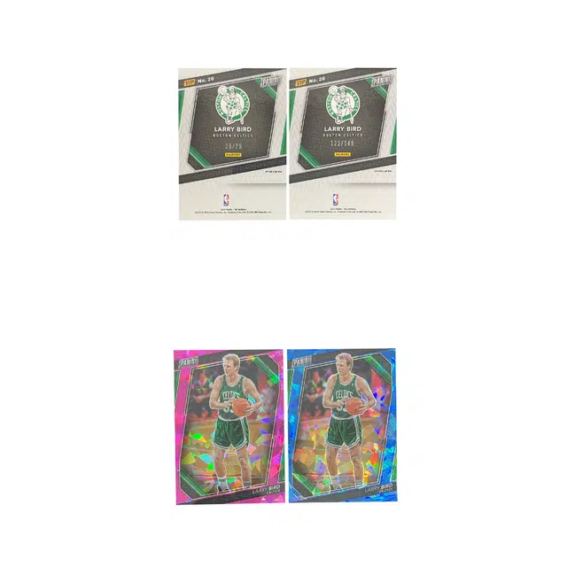 PANINI 2023 3575122149