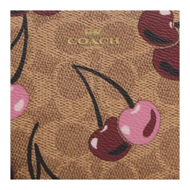 COACH 16