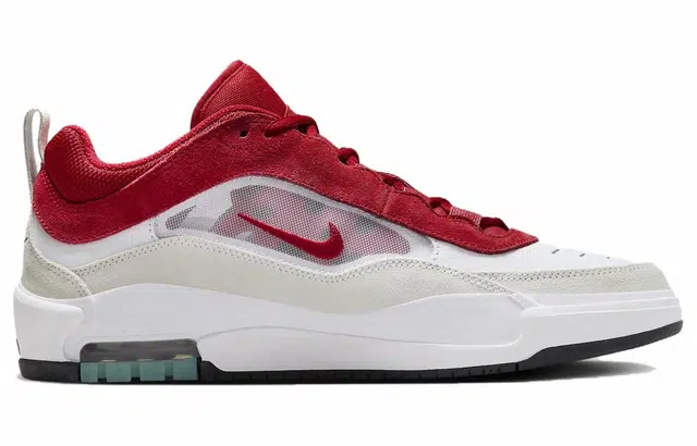 Nike SB Ishod 2