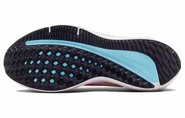 Nike Air Winflo 10