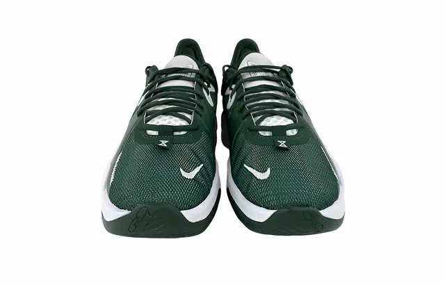 Nike PG 5 TB Promo 5