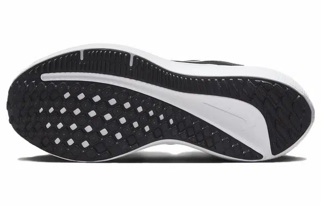 Nike Air Winflo 10