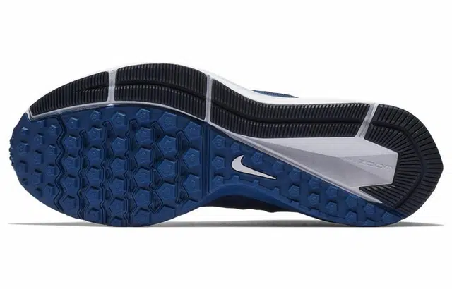 Nike Zoom Winflo 5