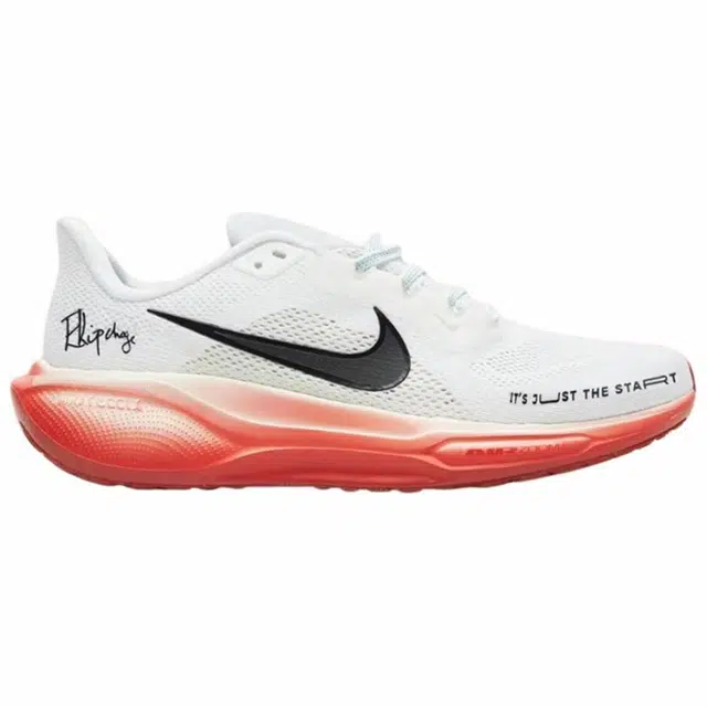 Nike Air Zoom Pegasus 41
