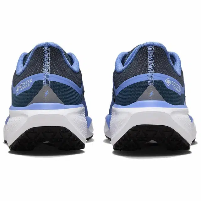 Nike Pegasus 41 GORE-TEX