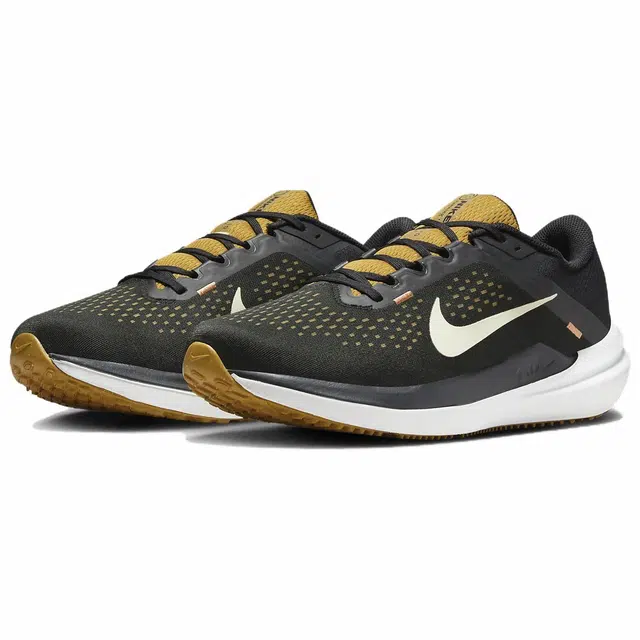 Nike Air Winflo 10