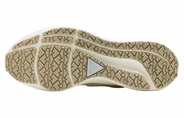 Nike Pegasus Shield
