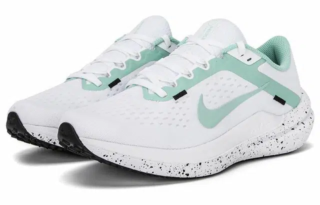 Nike Air Winflo 10