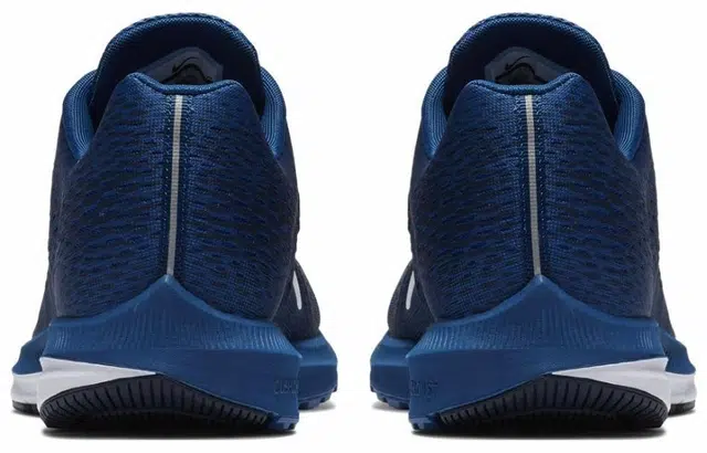 Nike Zoom Winflo 5