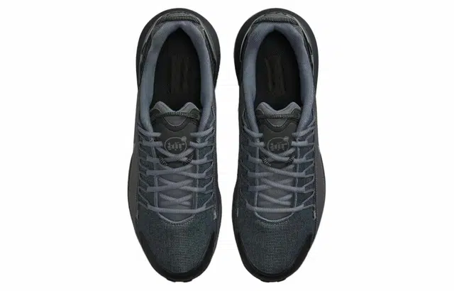 Nike Air Max Pulse