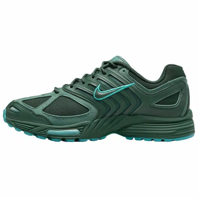 Nike Air Pegasus 2K5 FirBicoastal