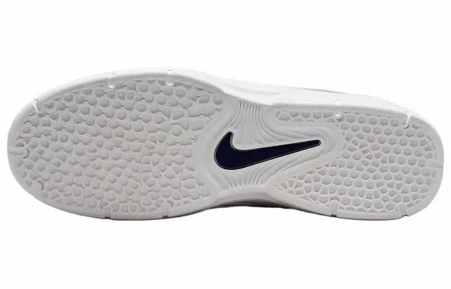 Nike Sb Vertebrae