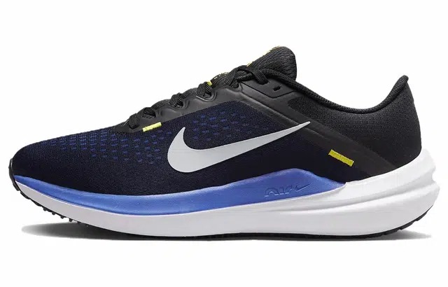 Nike Air Winflo 10
