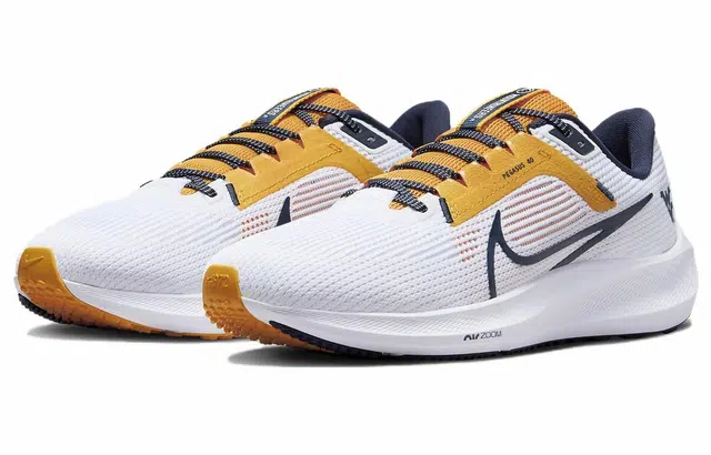 Nike Air Zoom Pegasus 40
