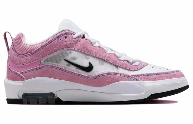 Nike SB Ishod 2