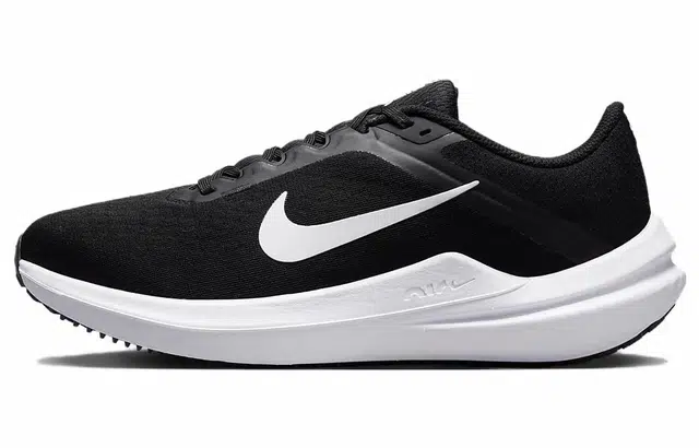 Nike Air Winflo 10