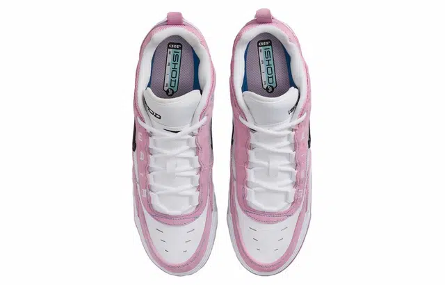 Nike SB Ishod 2