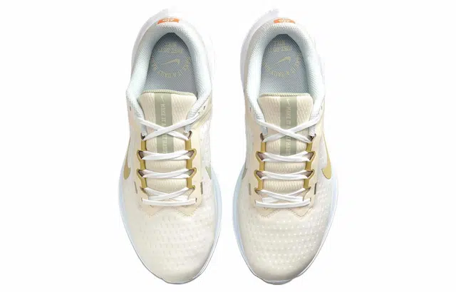 Nike Air Winflo 10