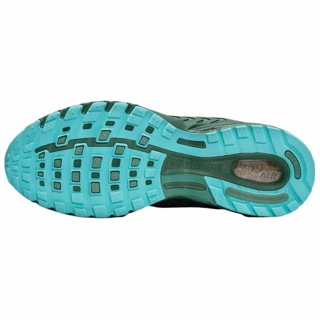 Nike Air Pegasus 2K5 FirBicoastal