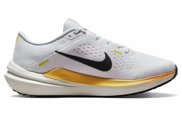 Nike Air Winflo 10