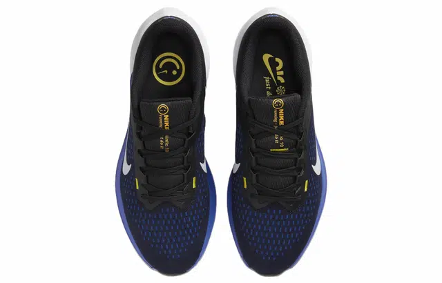 Nike Air Winflo 10