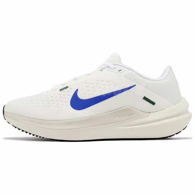 Nike Air Winflo 10