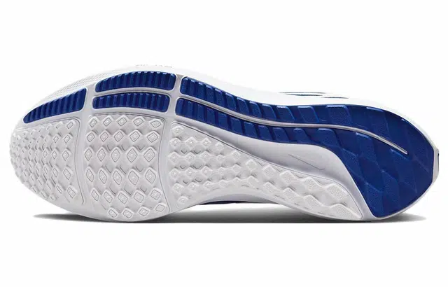 Nike Air Zoom Pegasus 39
