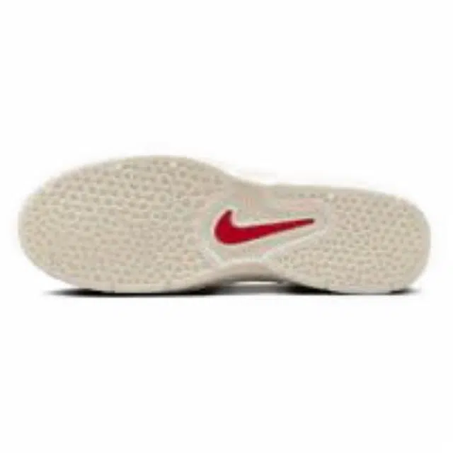 Nike Sb Vertebrae