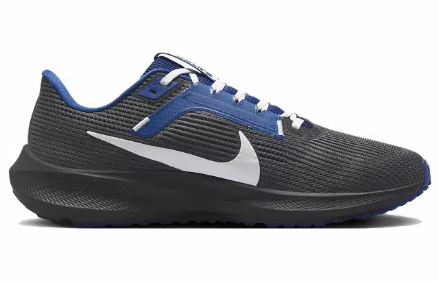 Nike Air Zoom Pegasus 40