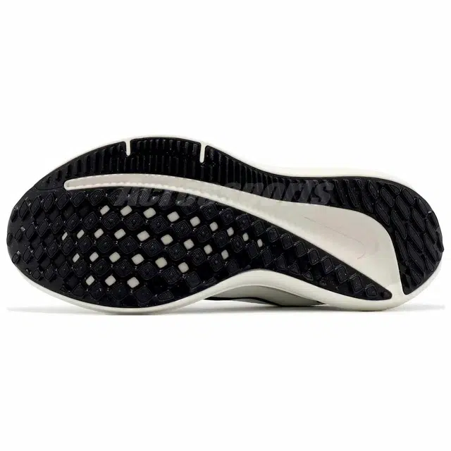 Nike Air Winflo 10