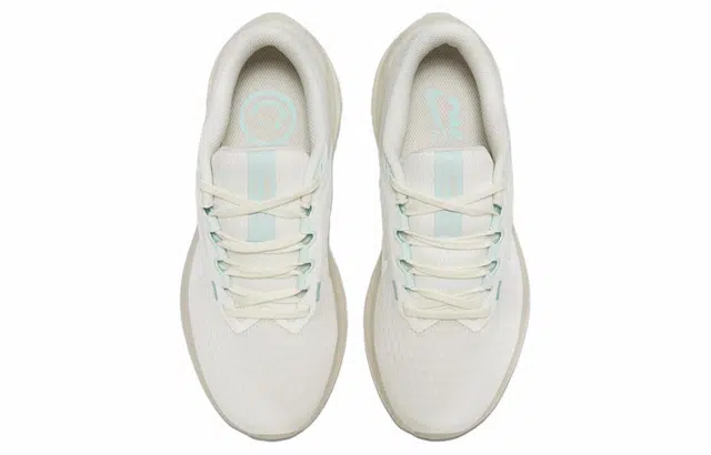 Nike W AIR WINFLO 10