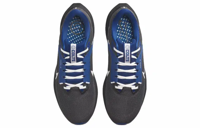 Nike Air Zoom Pegasus 40