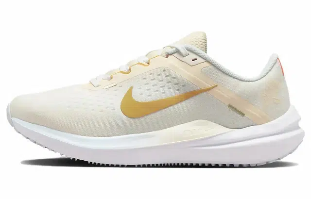 Nike Air Winflo 10