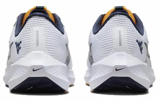 Nike Air Zoom Pegasus 40