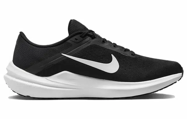Nike Air Winflo 10